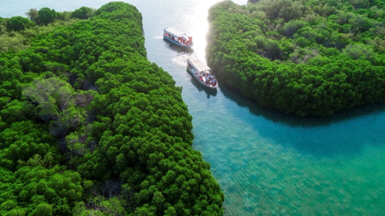 Farasan Islands